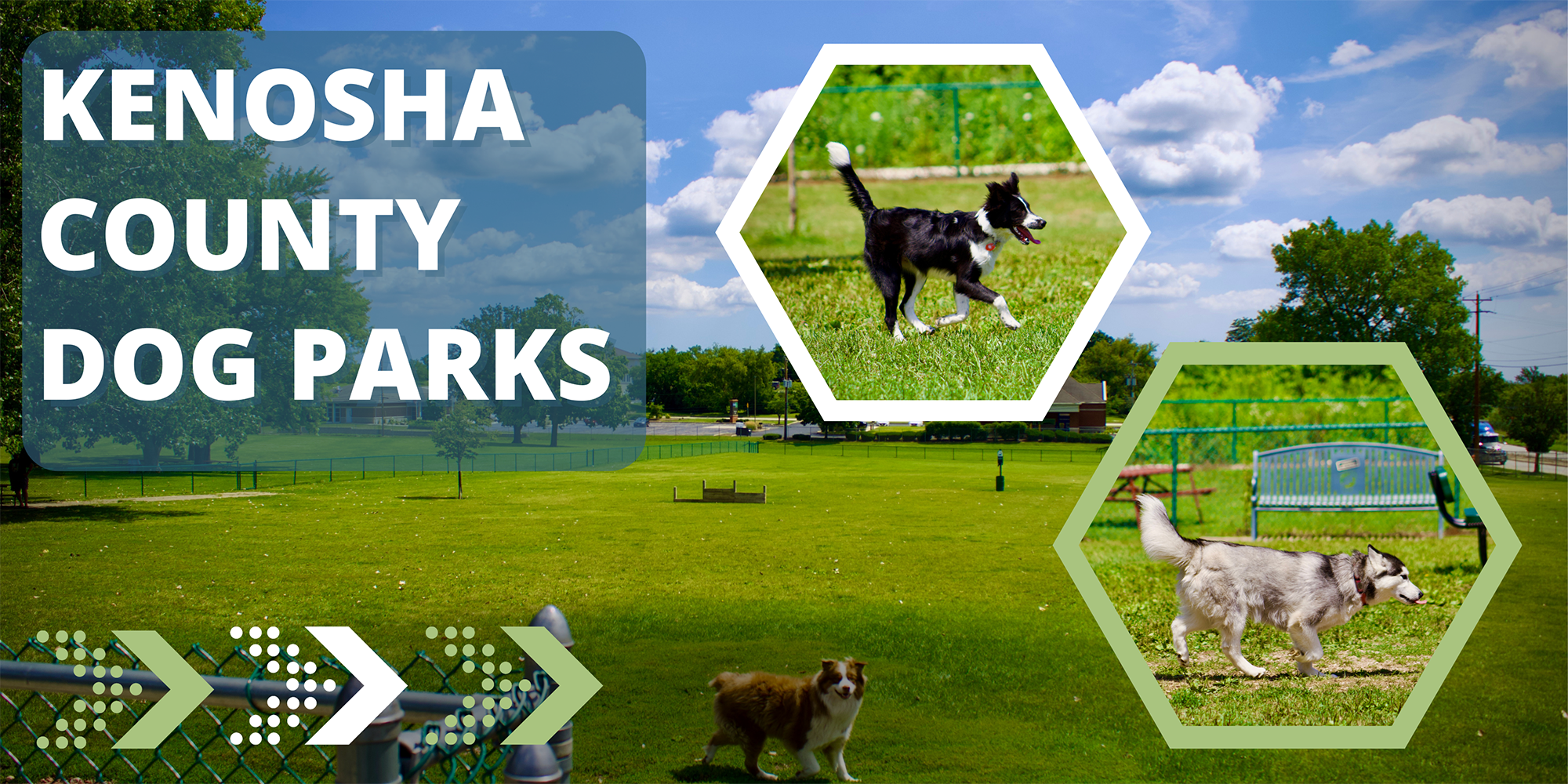 Kenosha County Dog Parks Banner