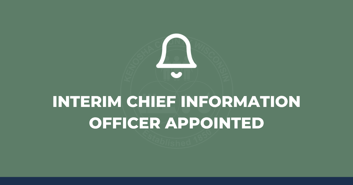 Graphic with text "INTERIM CHIEF INFORMATION OFFICER APPOINTED"