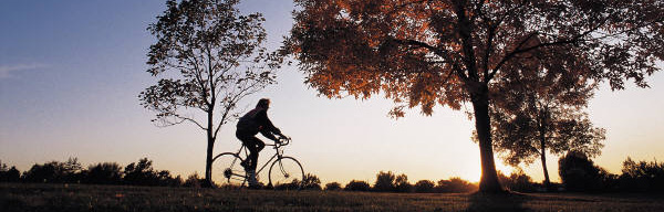 Bike riding during sunset