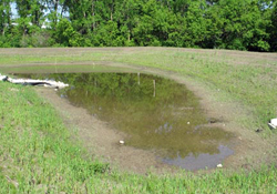 Flooded Area of a Field