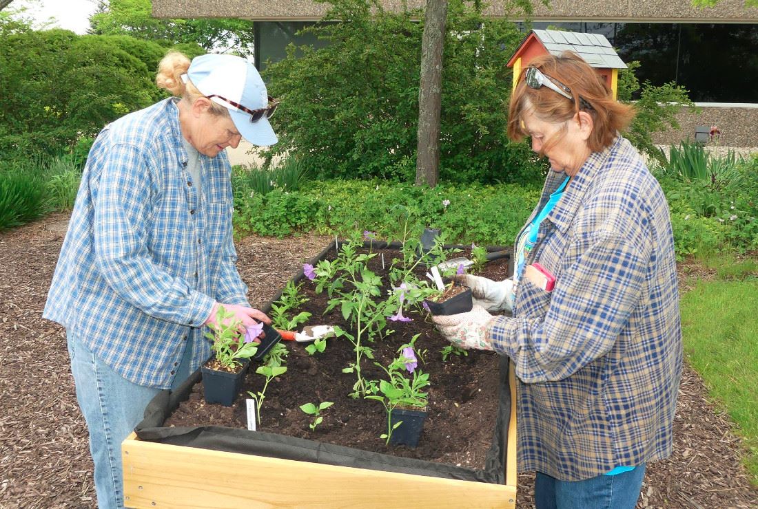 Extension gardening program