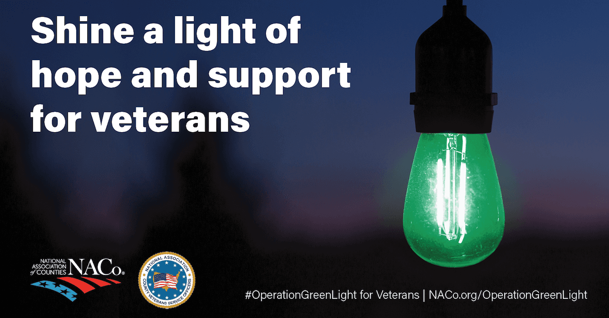 Photo of green light bulb and the text "Shine a light of hope and support for veterans"