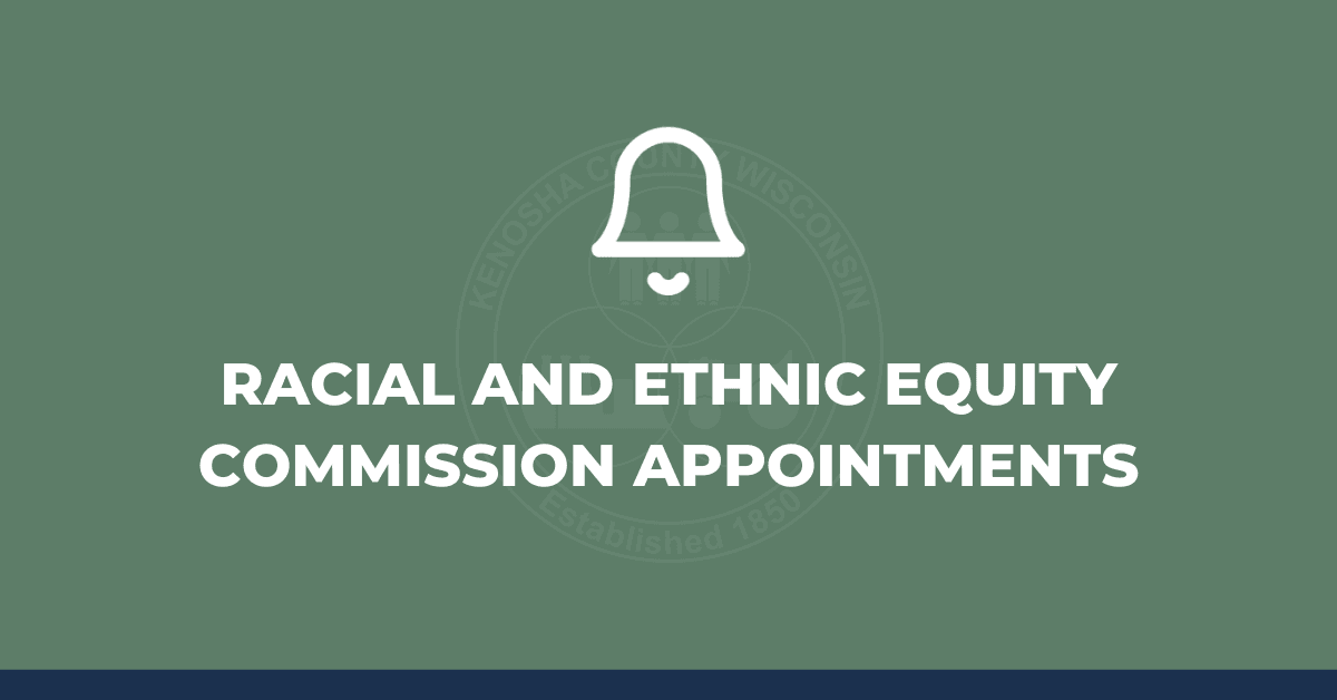 Graphic reading "Racial and Ethnic Equity Commission Appointments"