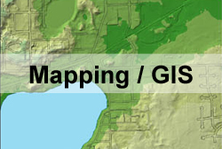 Mapping / GIS (Geographic Information Systems)