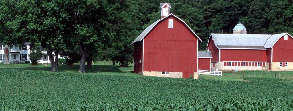 Farm scene, a red barn next to some fields