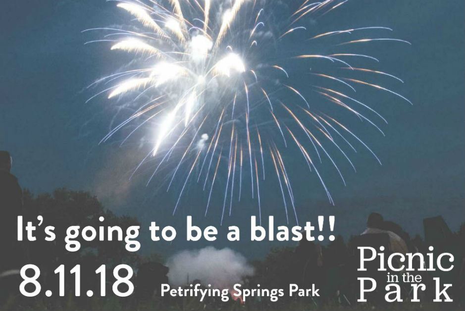 2018 picnic in the park - FB LINK